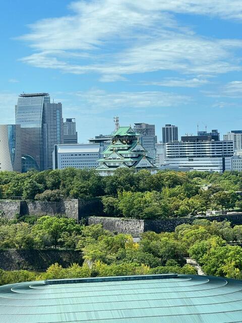 窓からの大阪城.jpg